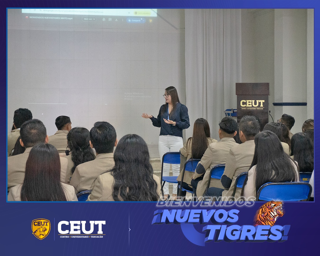 Bienvenido Nuevos Tigres